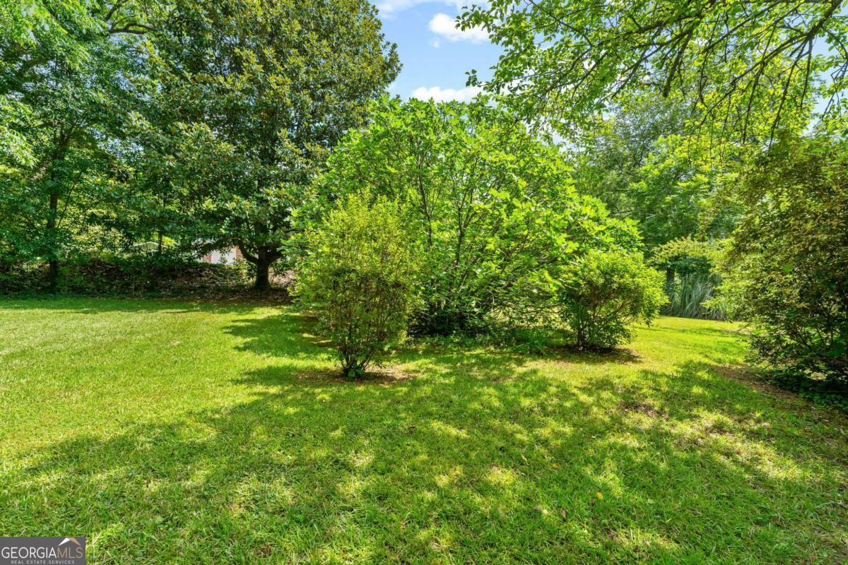 31 Elm Street Property Photo 21