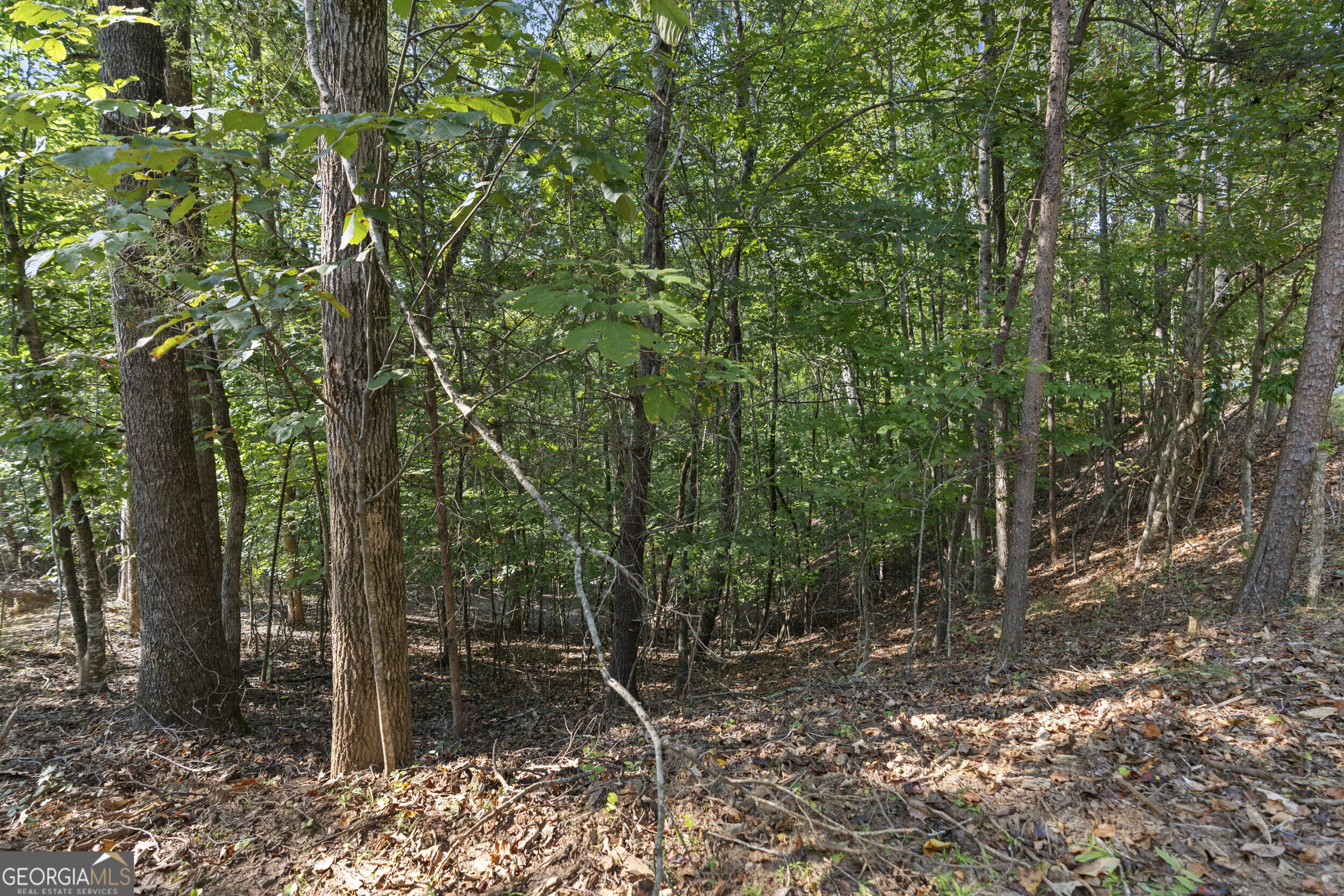 6314 Point Twenty Two Property Photo 5