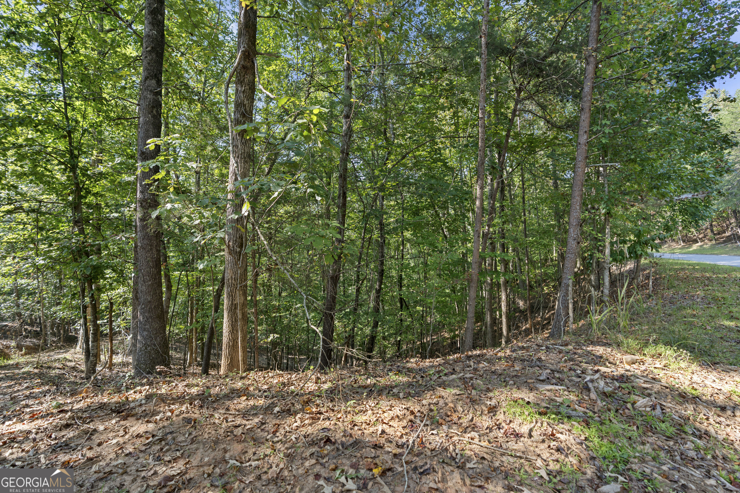 6314 Point Twenty Two Property Photo 6