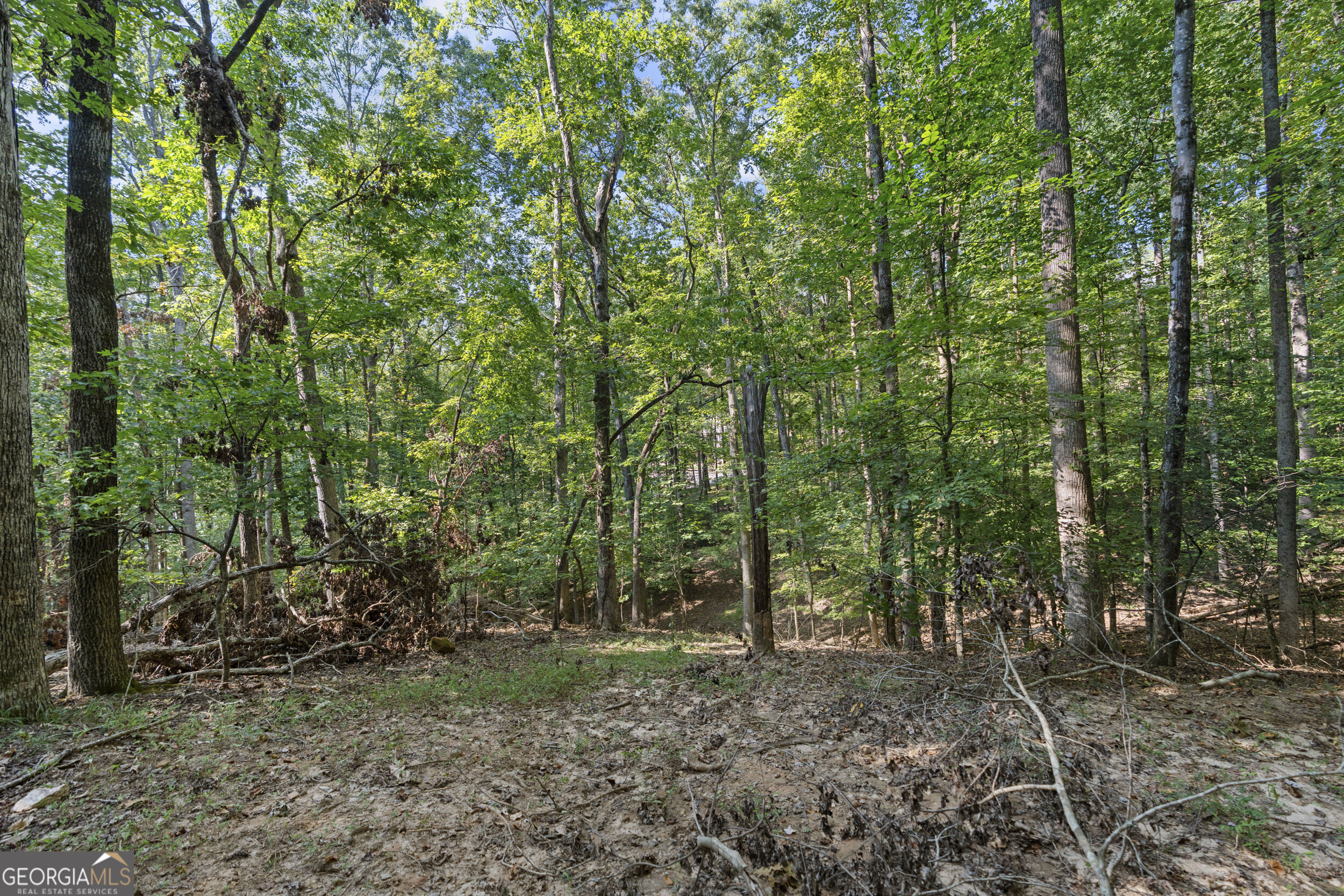 6314 Point Twenty Two Property Photo 10