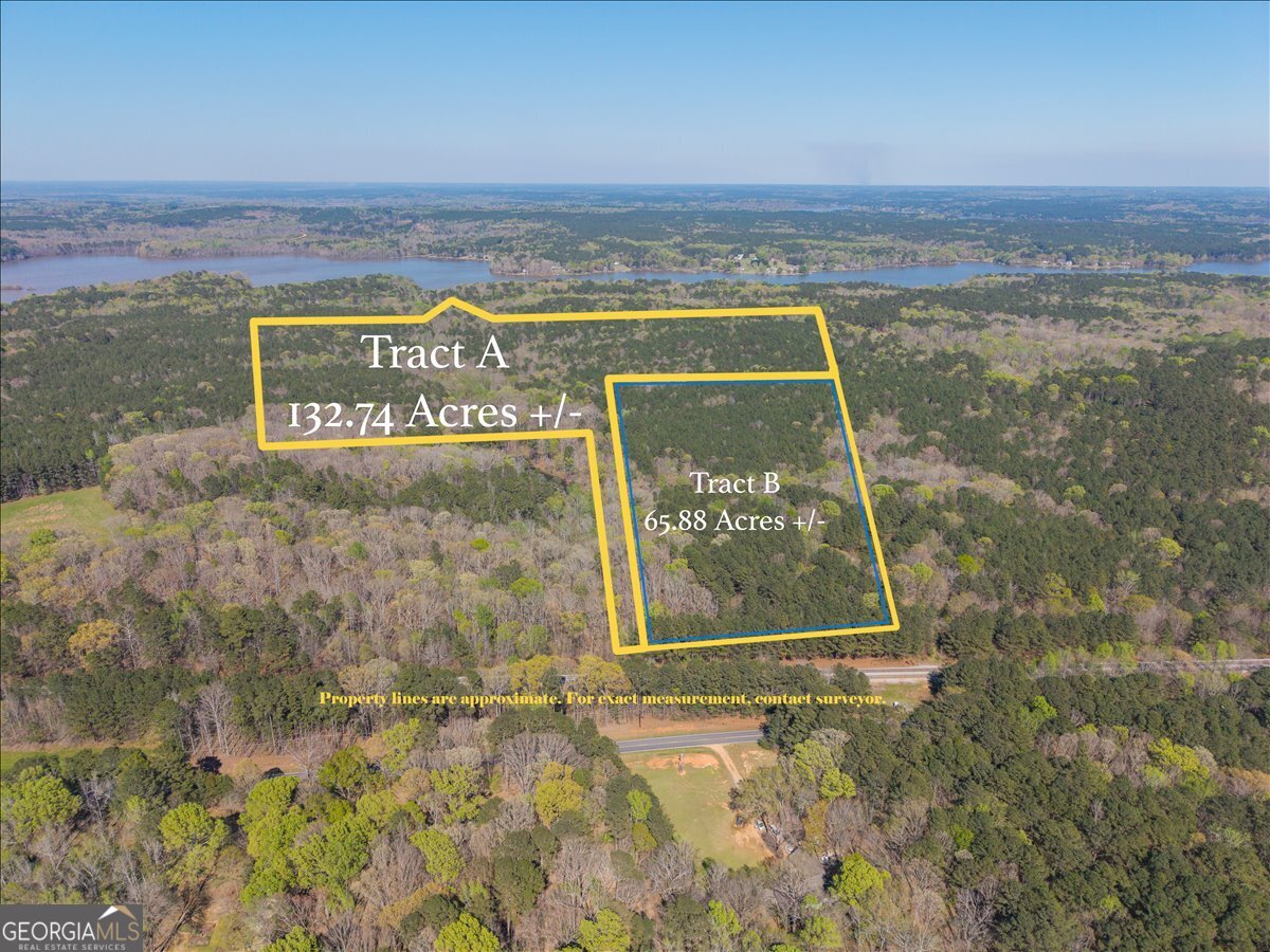 198 +/- ACRES Apalachee Woods Trail