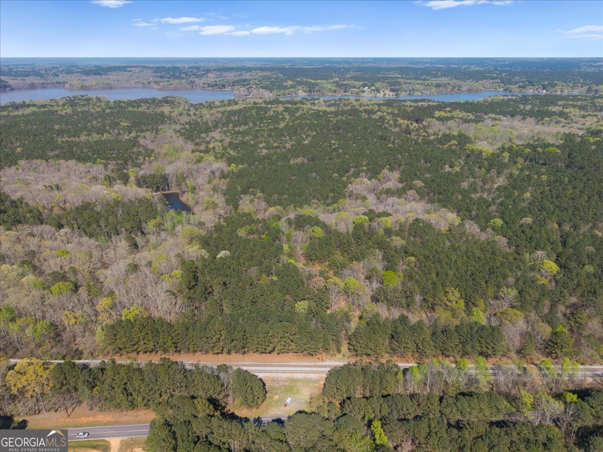 198 +/- Acres Apalachee Woods Trail Property Photo 2