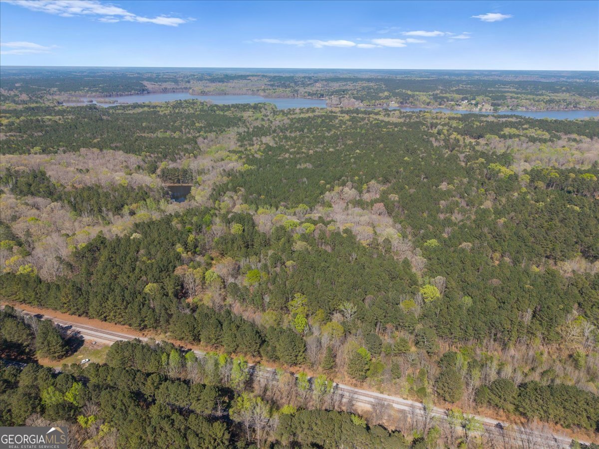 198 +/- Acres Apalachee Woods Trail Property Photo 3
