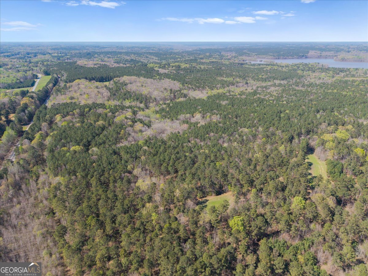 198 +/- Acres Apalachee Woods Trail Property Photo 4