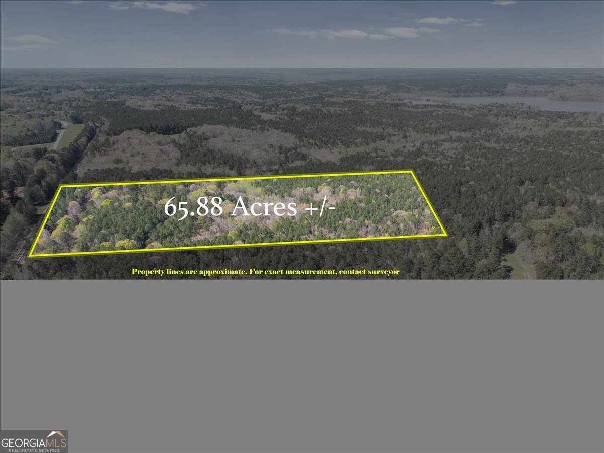 198 +/- Acres Apalachee Woods Trail Property Photo 5
