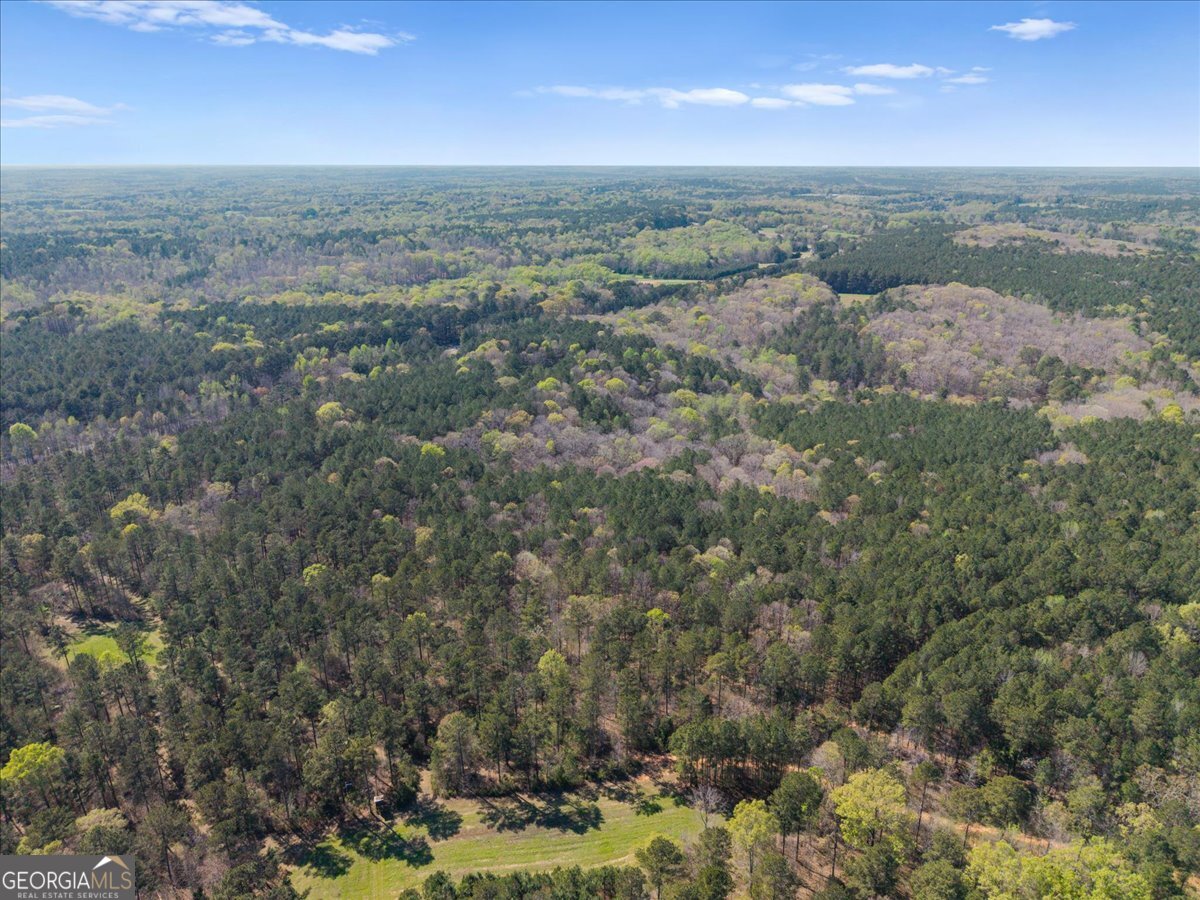 198 +/- Acres Apalachee Woods Trail Property Photo 6