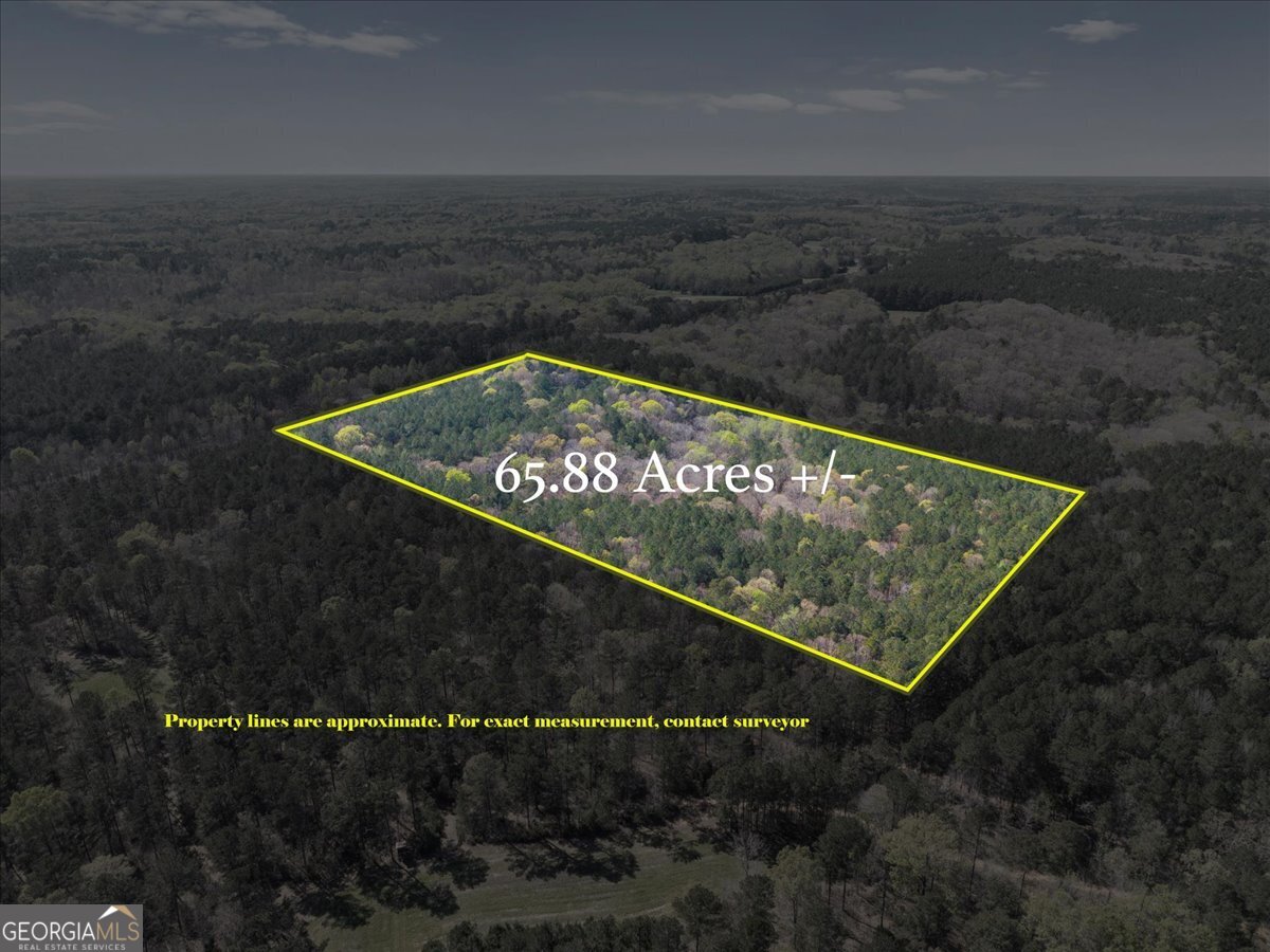 198 +/- Acres Apalachee Woods Trail Property Photo 7