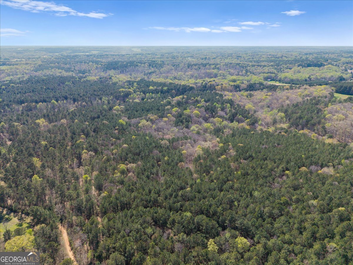 198 +/- Acres Apalachee Woods Trail Property Photo 8
