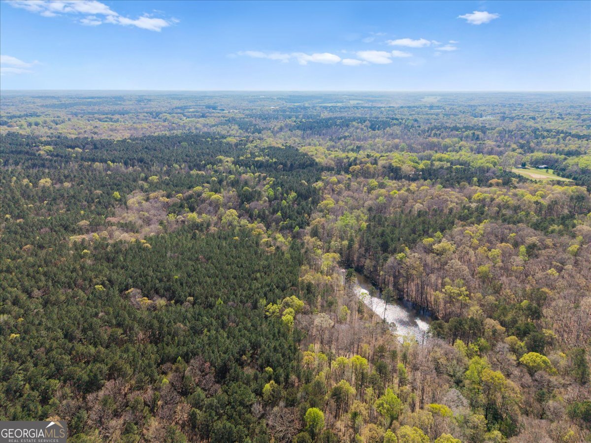 198 +/- Acres Apalachee Woods Trail Property Photo 9
