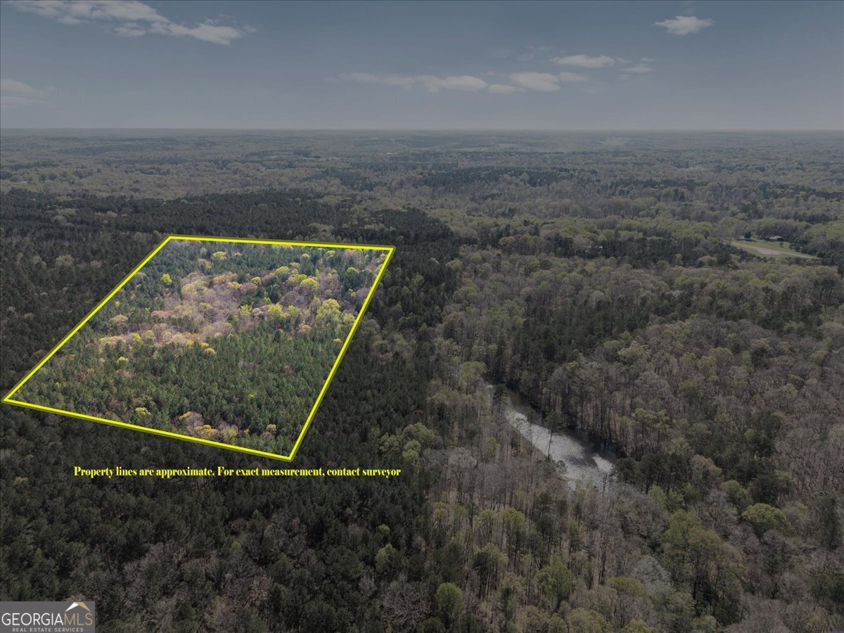 198 +/- Acres Apalachee Woods Trail Property Photo 10