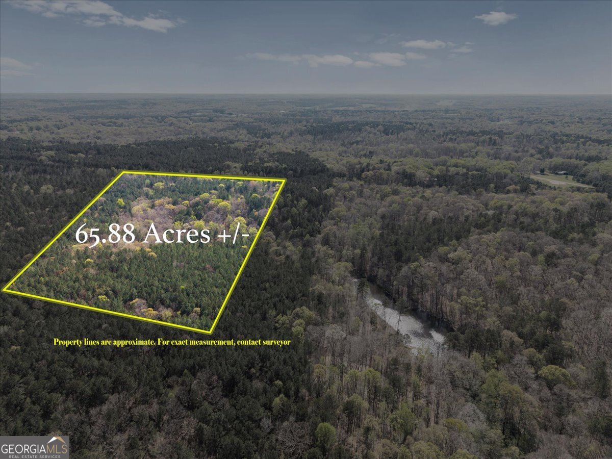198 +/- Acres Apalachee Woods Trail Property Photo 11