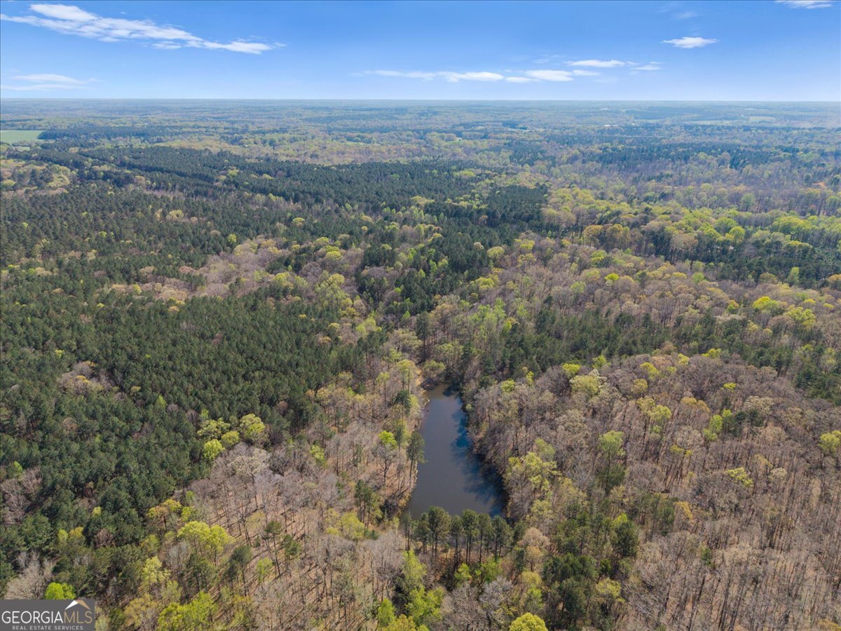 198 +/- Acres Apalachee Woods Trail Property Photo 12
