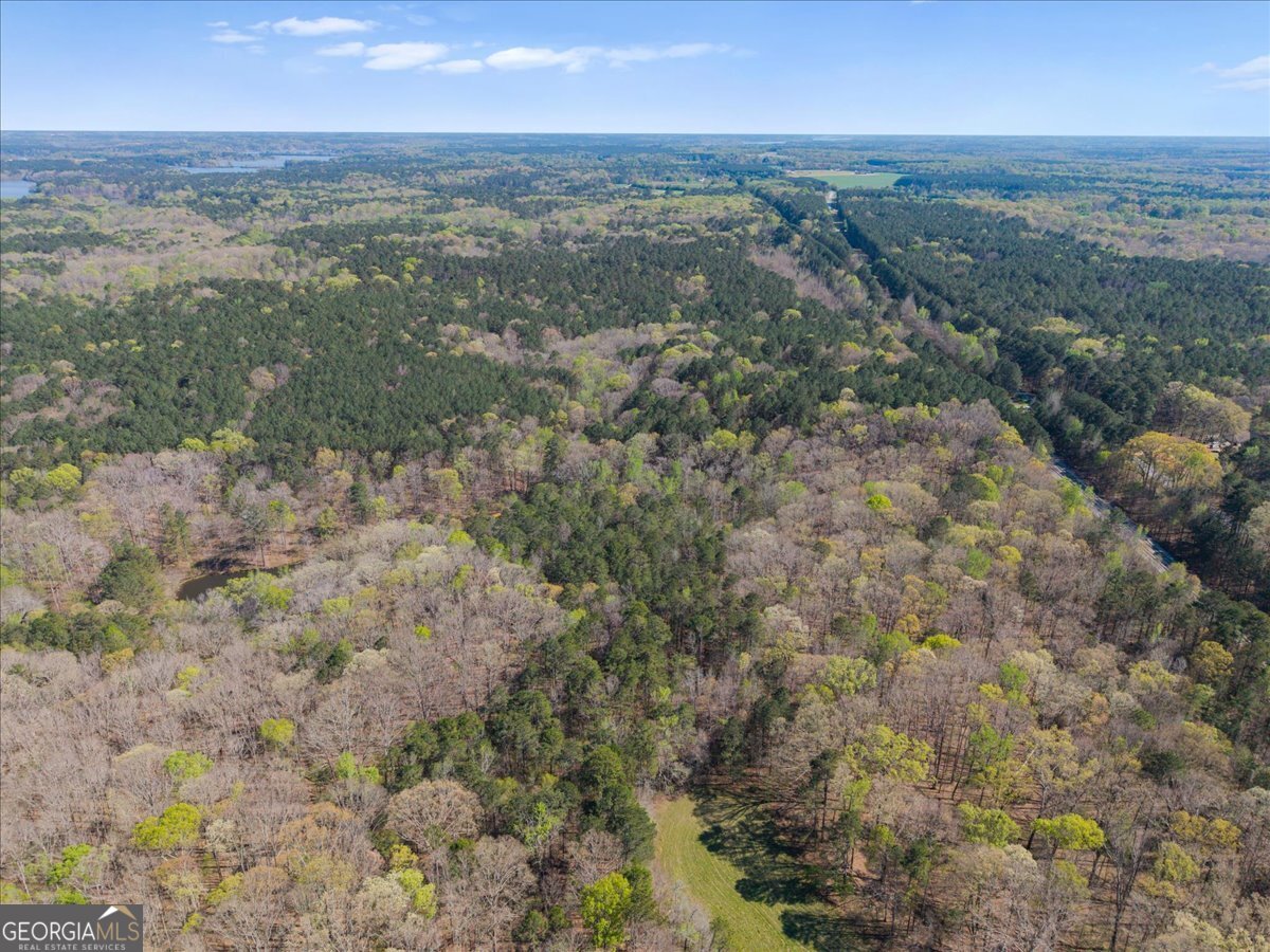 198 +/- Acres Apalachee Woods Trail Property Photo 13