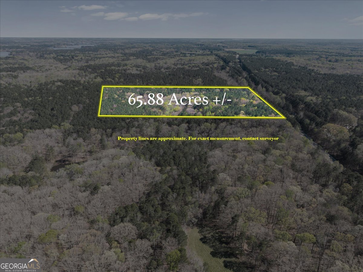 198 +/- Acres Apalachee Woods Trail Property Photo 14