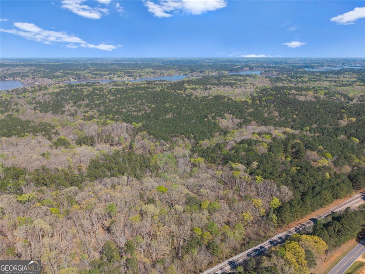 198 +/- Acres Apalachee Woods Trail Property Photo 15