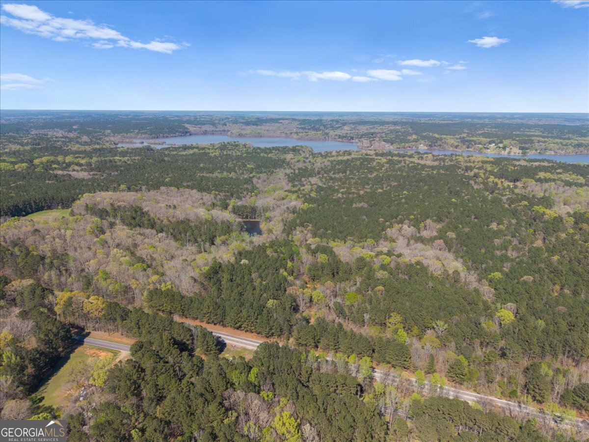198 +/- Acres Apalachee Woods Trail Property Photo 16