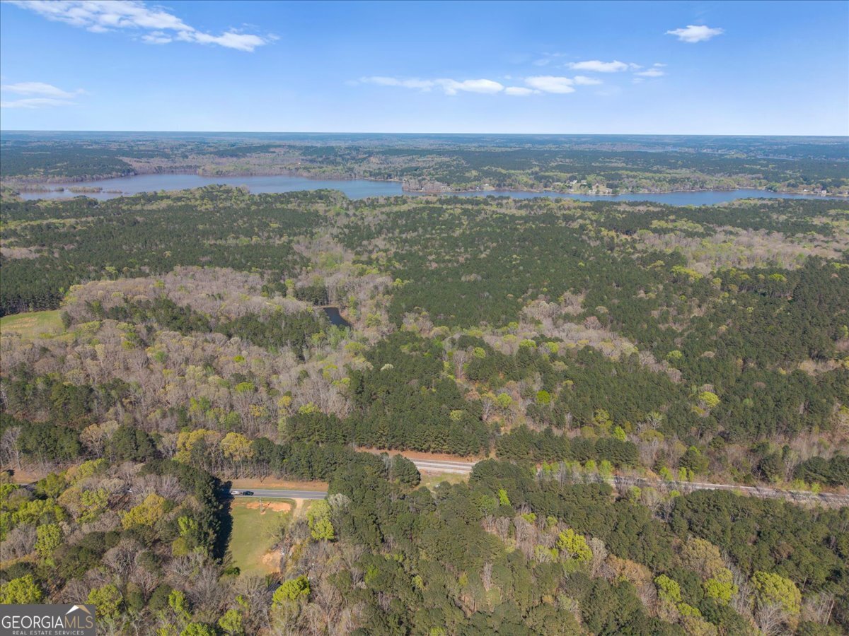 198 +/- Acres Apalachee Woods Trail Property Photo 17