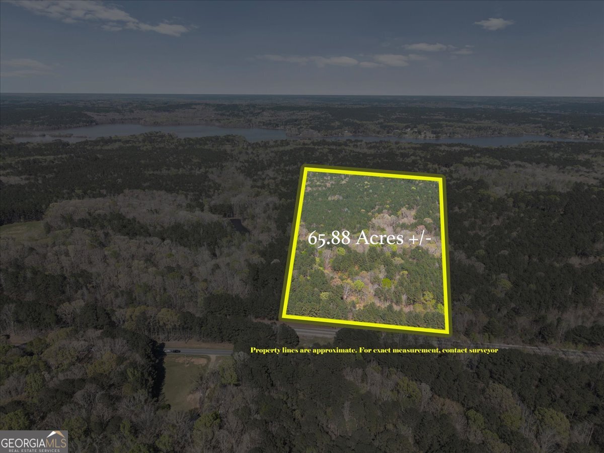 198 +/- Acres Apalachee Woods Trail Property Photo 18