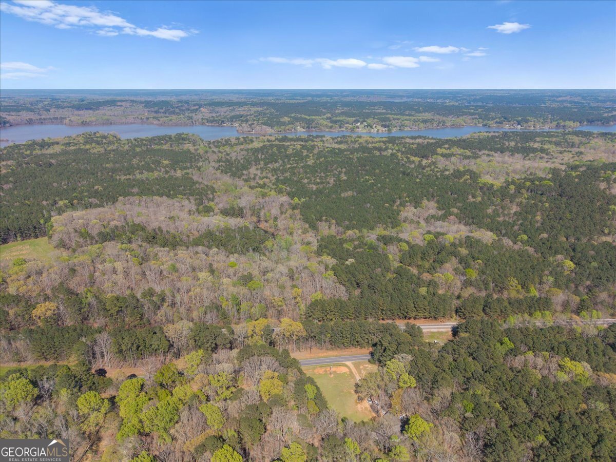 198 +/- Acres Apalachee Woods Trail Property Photo 19