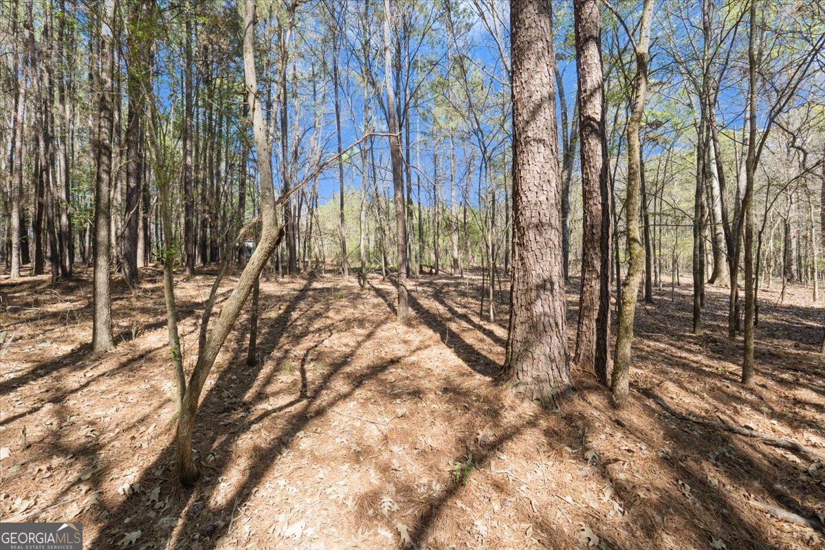 198 +/- Acres Apalachee Woods Trail Property Photo 26