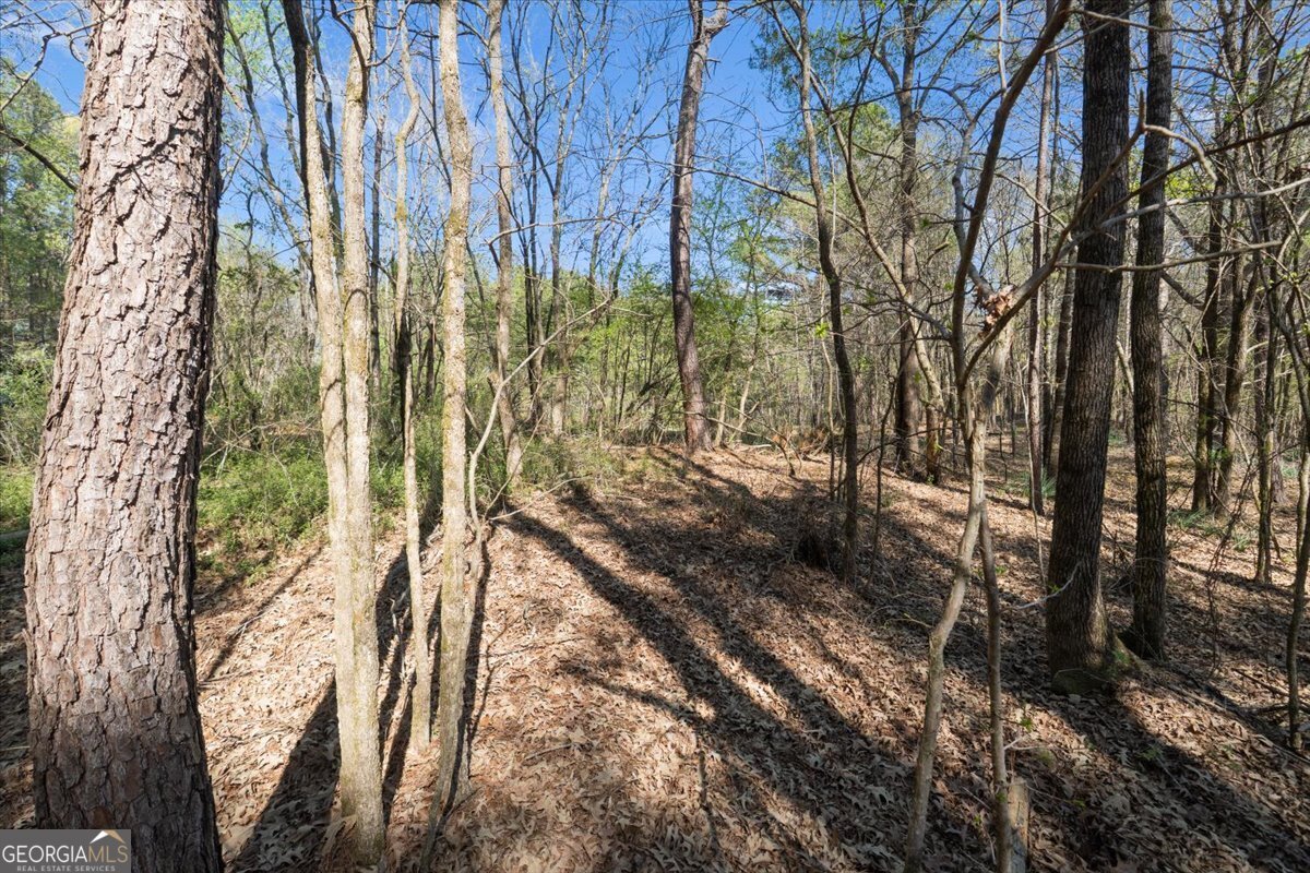 198 +/- Acres Apalachee Woods Trail Property Photo 27