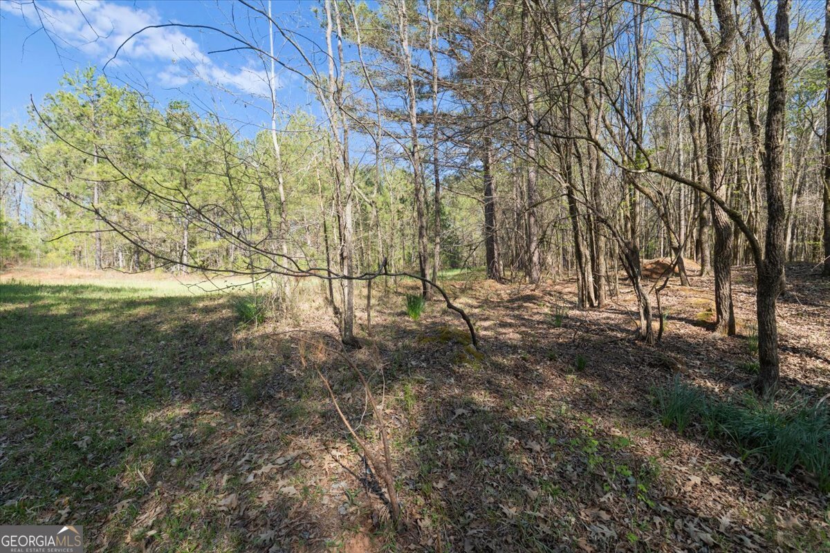 198 +/- Acres Apalachee Woods Trail Property Photo 28