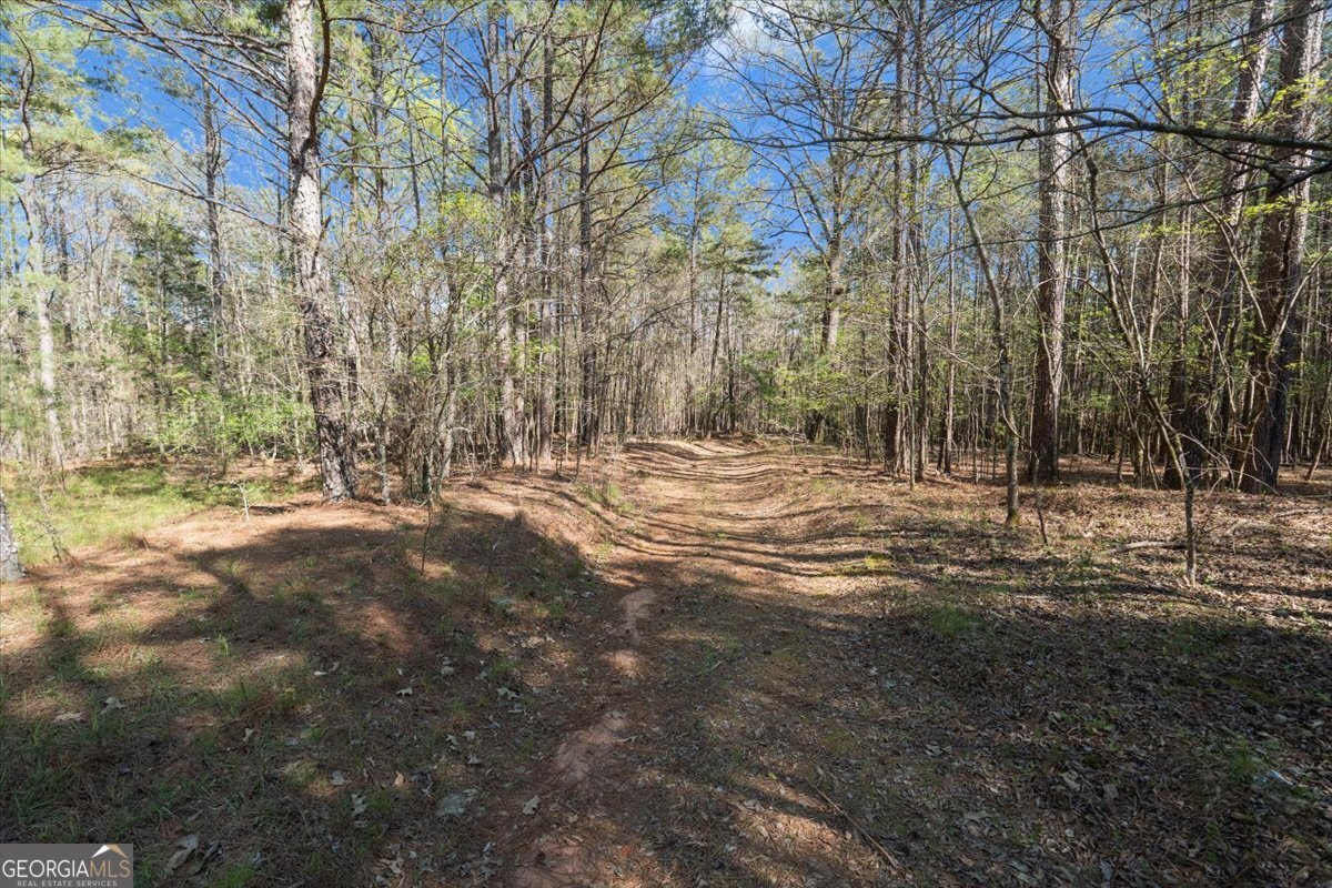 198 +/- Acres Apalachee Woods Trail Property Photo 30