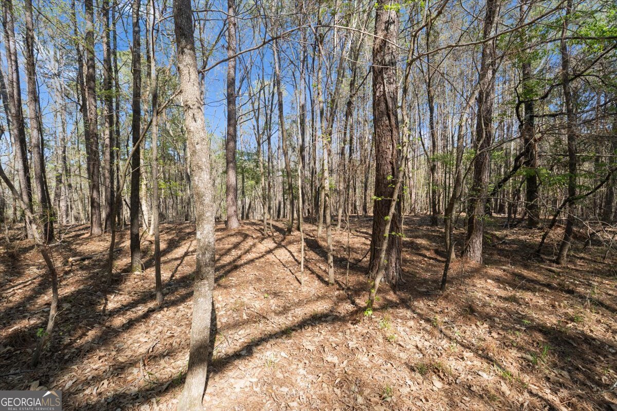 198 +/- Acres Apalachee Woods Trail Property Photo 31
