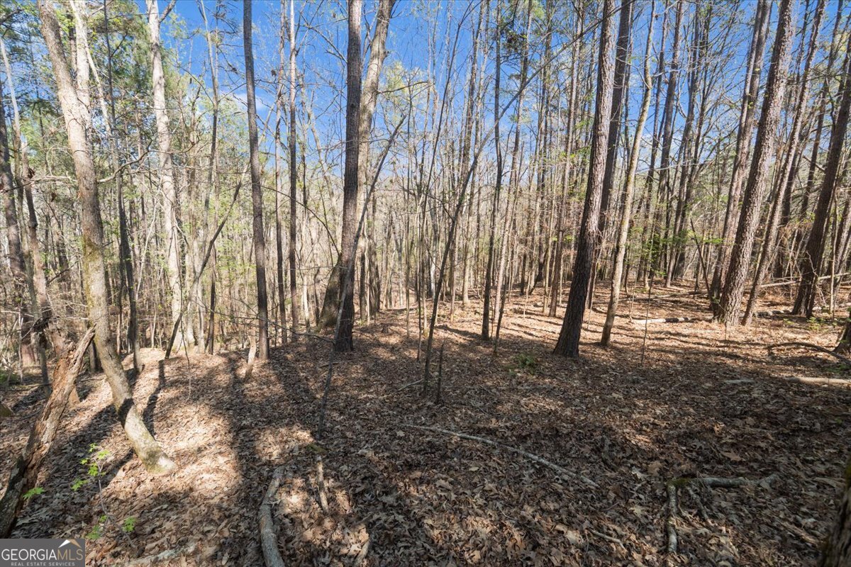 198 +/- Acres Apalachee Woods Trail Property Photo 32