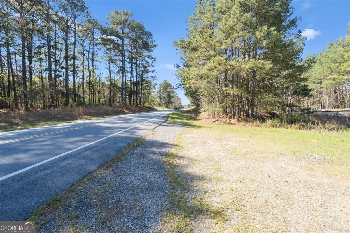 198 +/- Acres Apalachee Woods Trail Property Photo 34