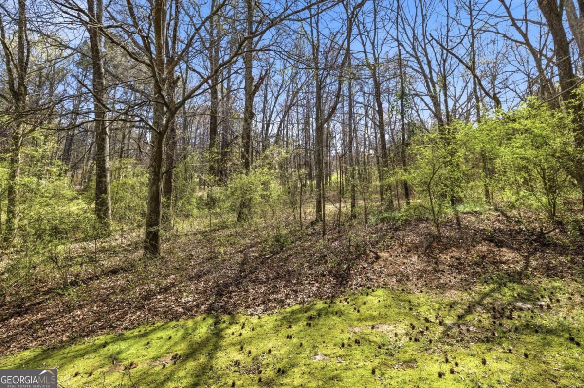 3293 Braselton Highway Property Photo 9