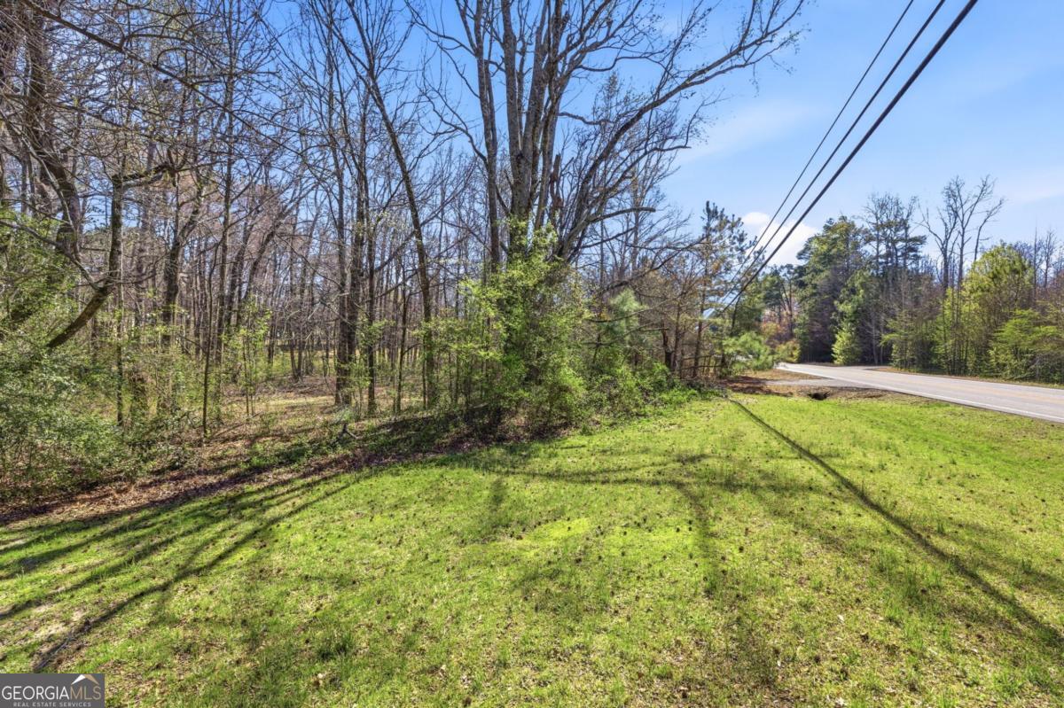 3293 Braselton Highway Property Photo 10