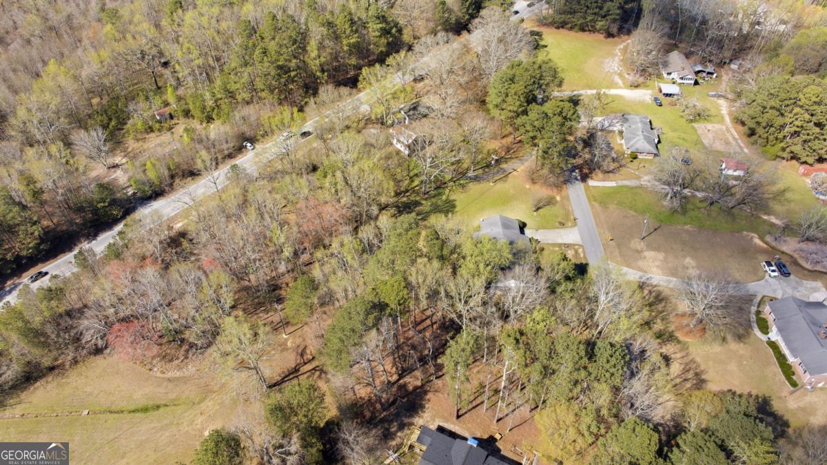 3293 Braselton Highway Property Photo 18
