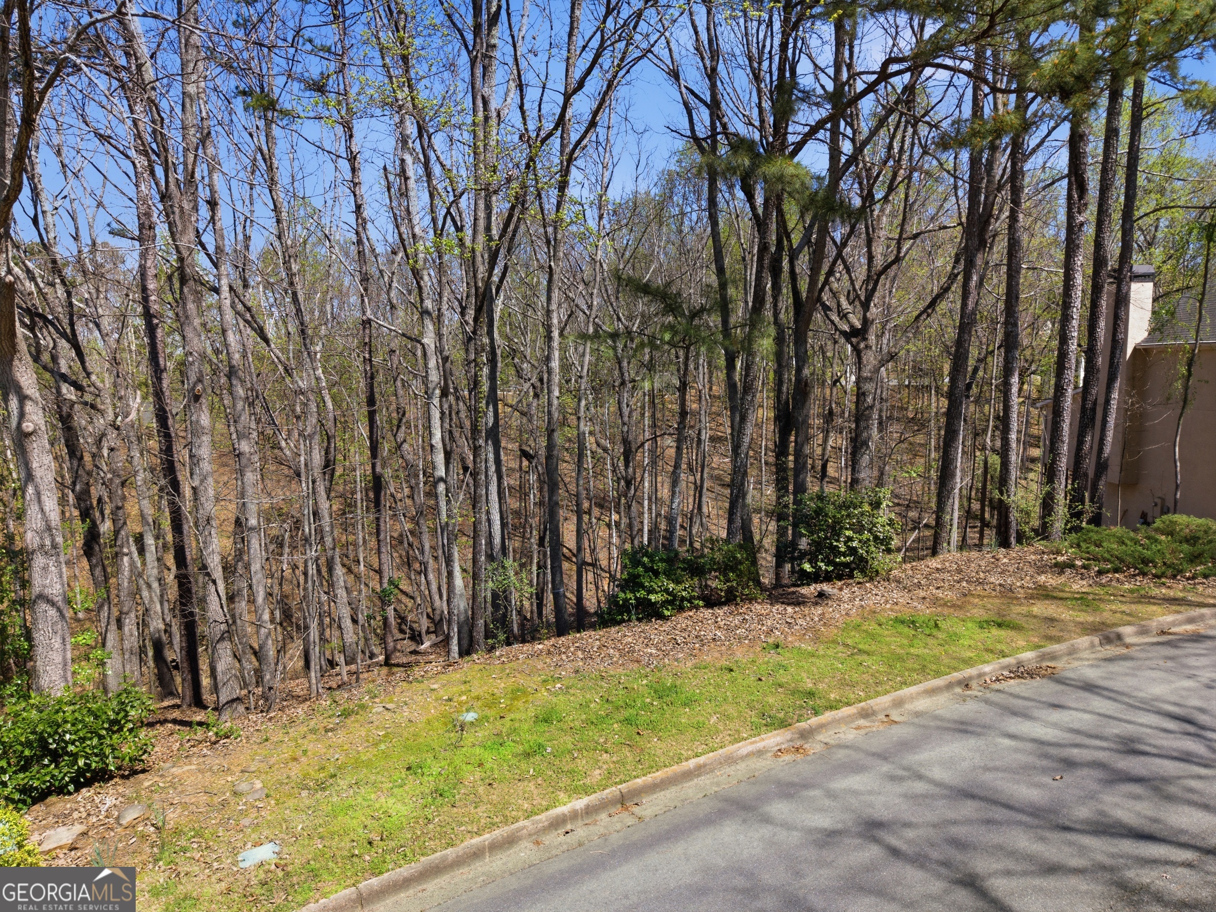 335 N Peak Drive Property Photo 4