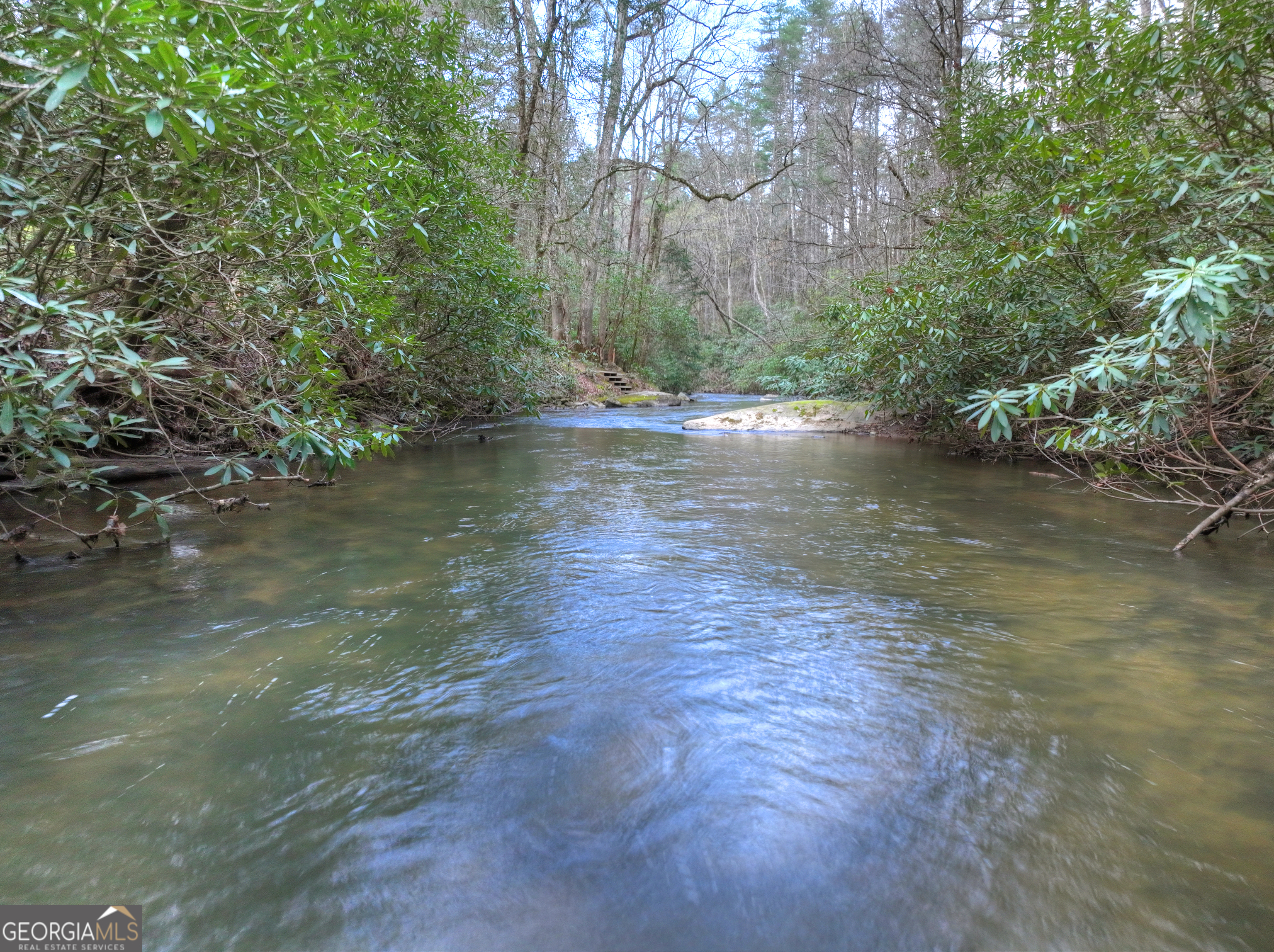 266 River Road Property Photo 46