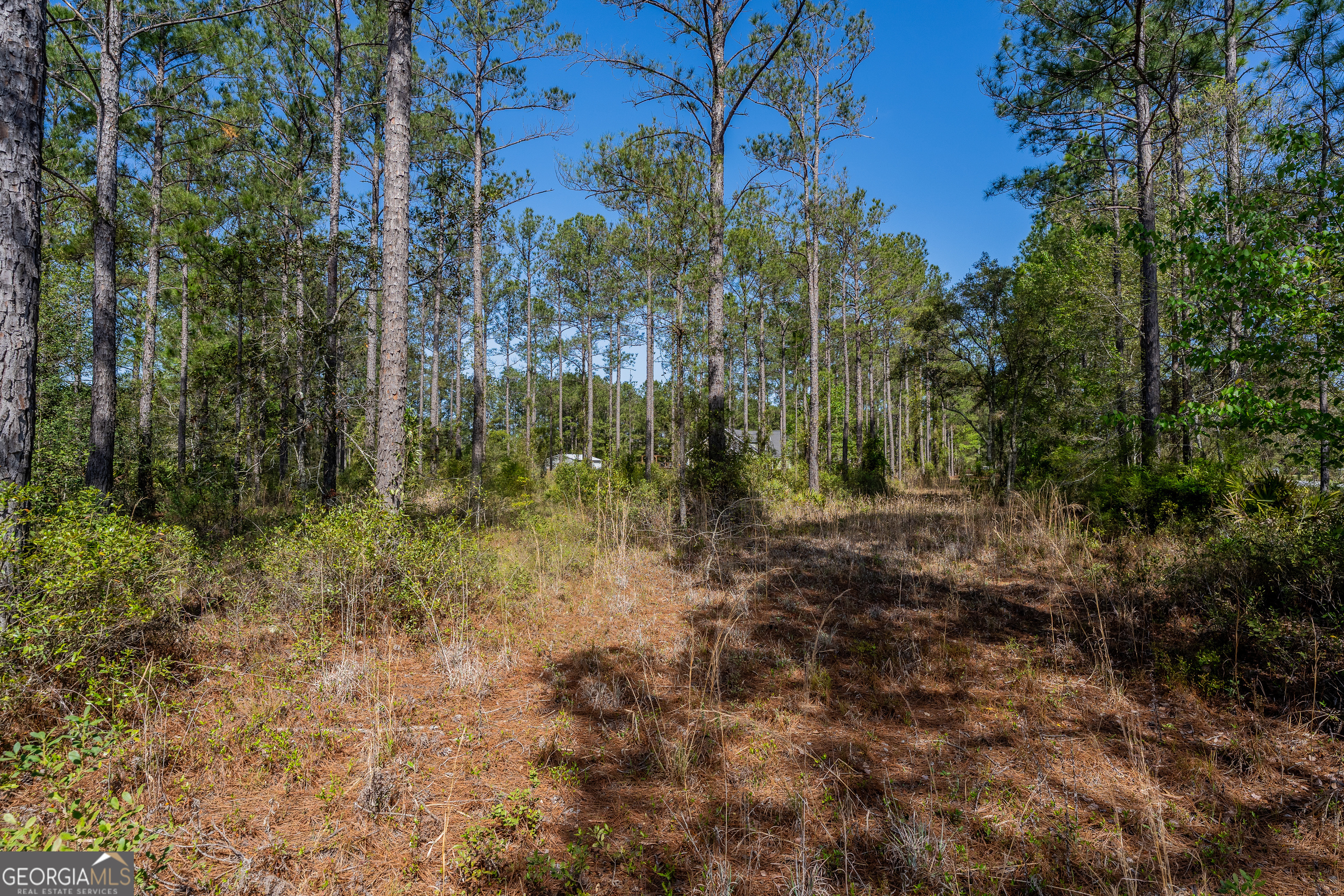 0 Highway 110 (2.02 Acres) W Property Photo 9