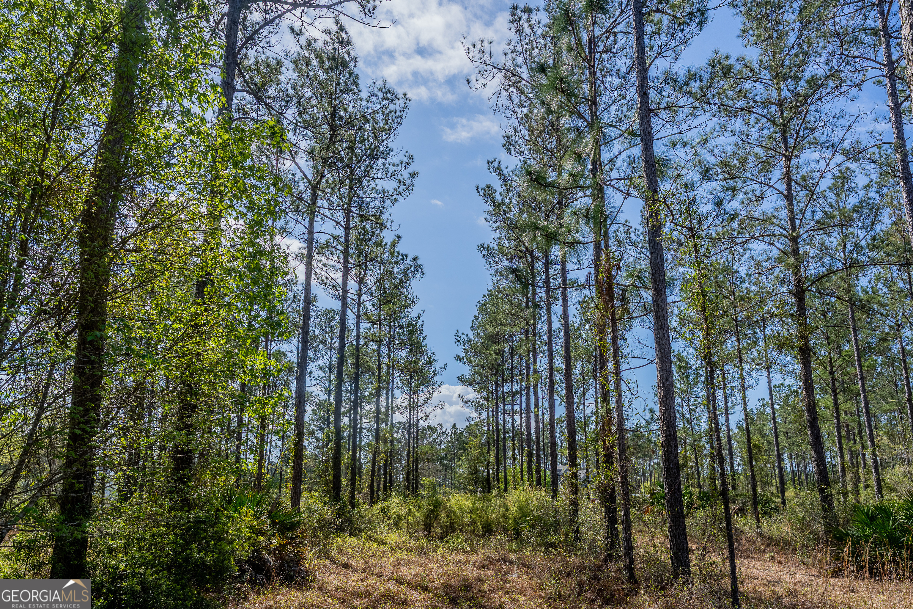 0 Highway 110 (2.02 Acres) W Property Photo 11