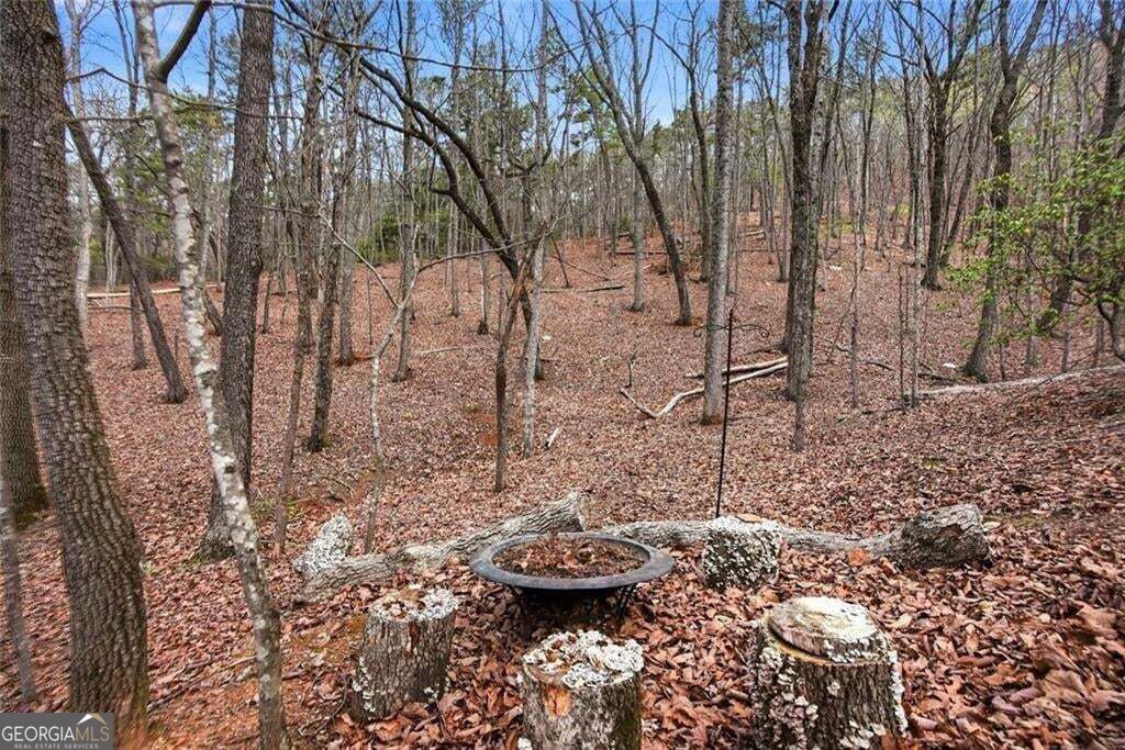 31 Wild Ginger Circle Property Photo 41
