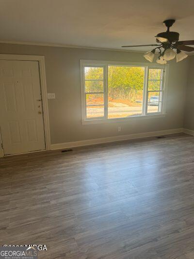 708 Richmond Street Property Photo 22