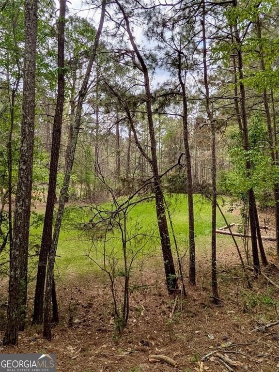 16040 Henderson Road Property Photo 15