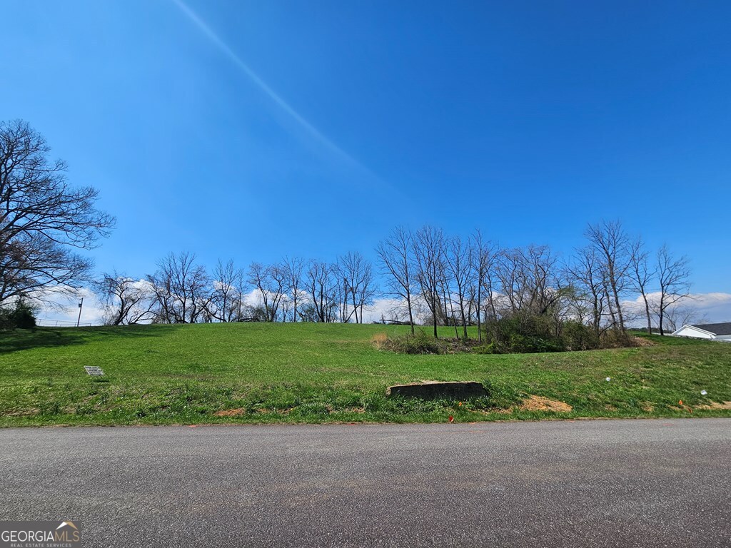 0 Mcglamery Farms Drive Property Photo 3