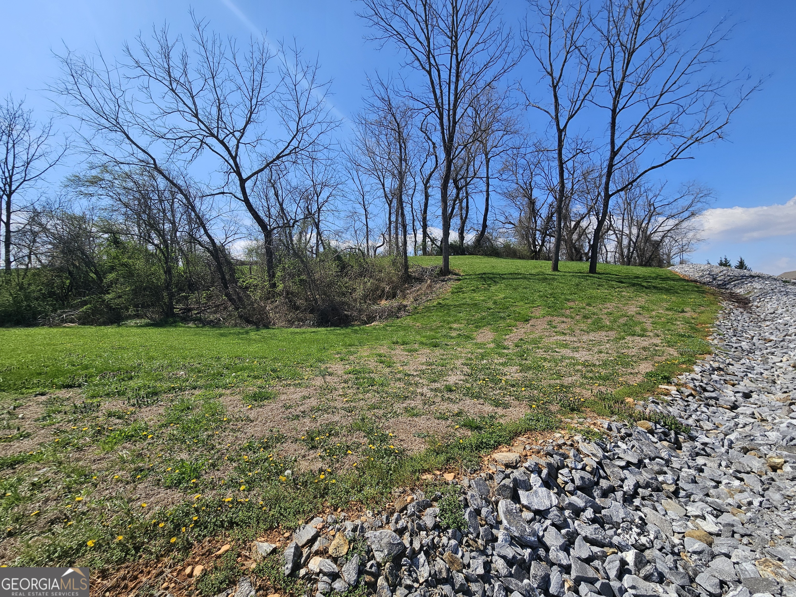 0 Mcglamery Farms Drive Property Photo 8