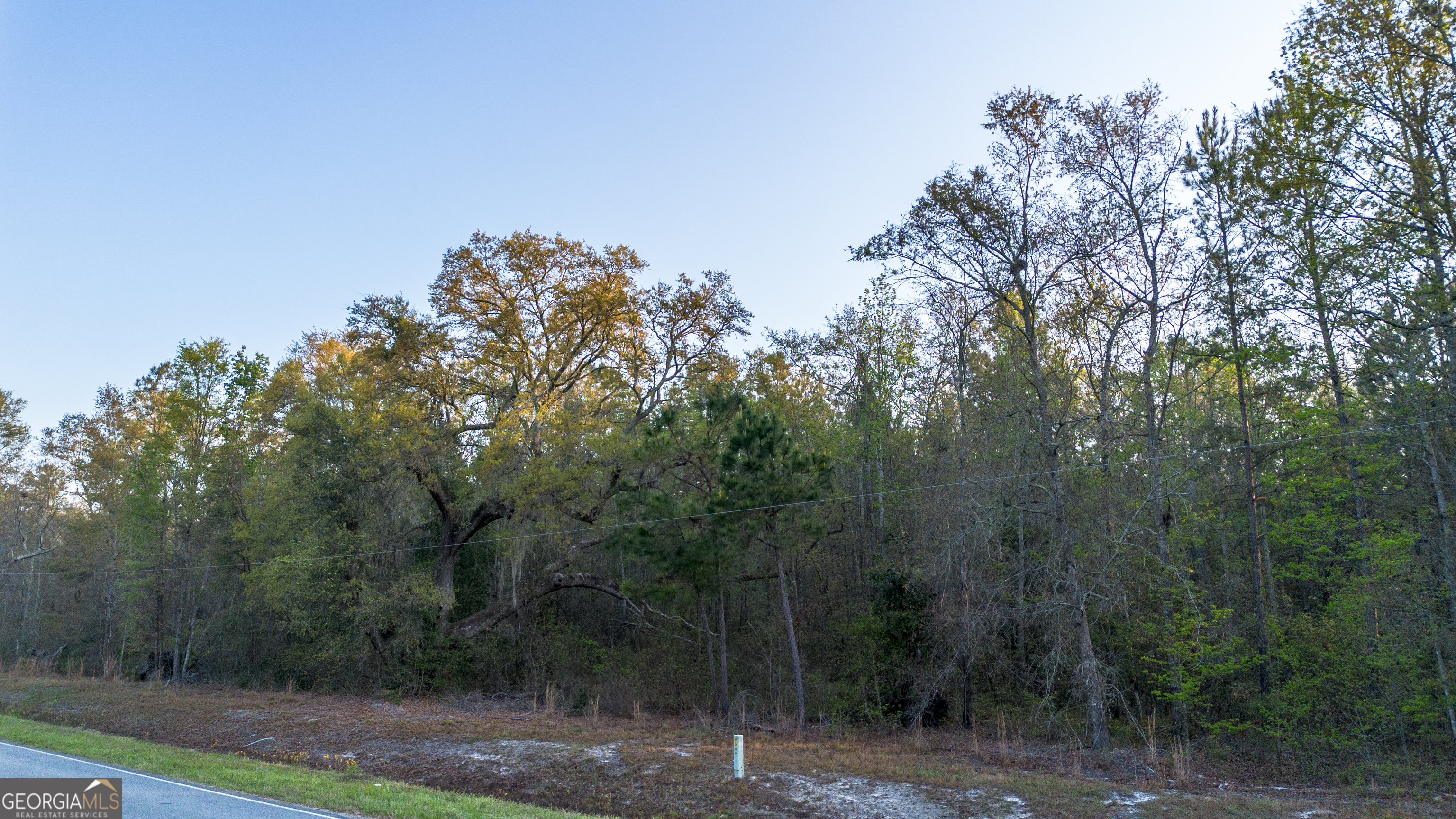 0 Little Mccall Road Property Photo 8
