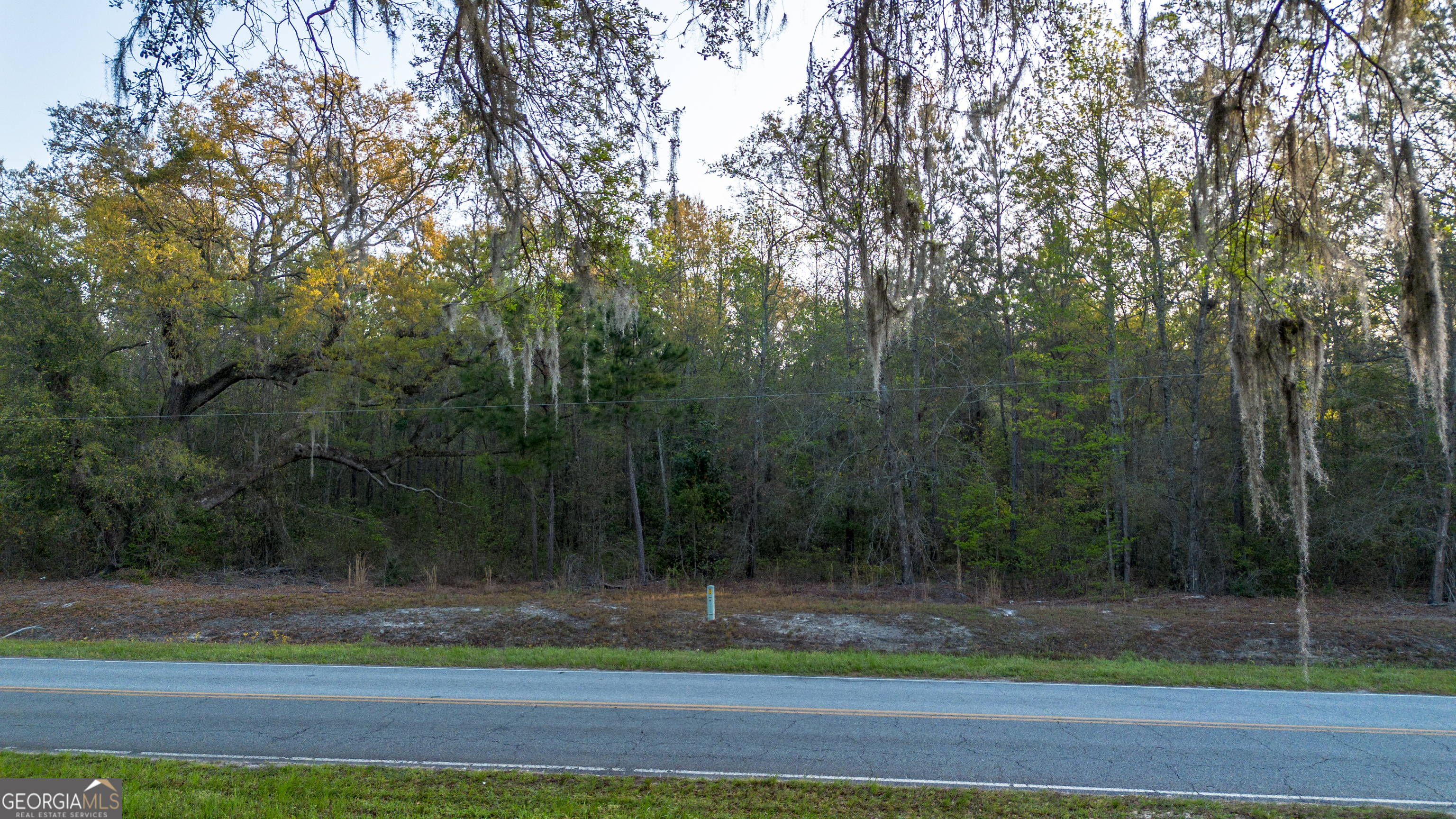 0 Little Mccall Road Property Photo 11