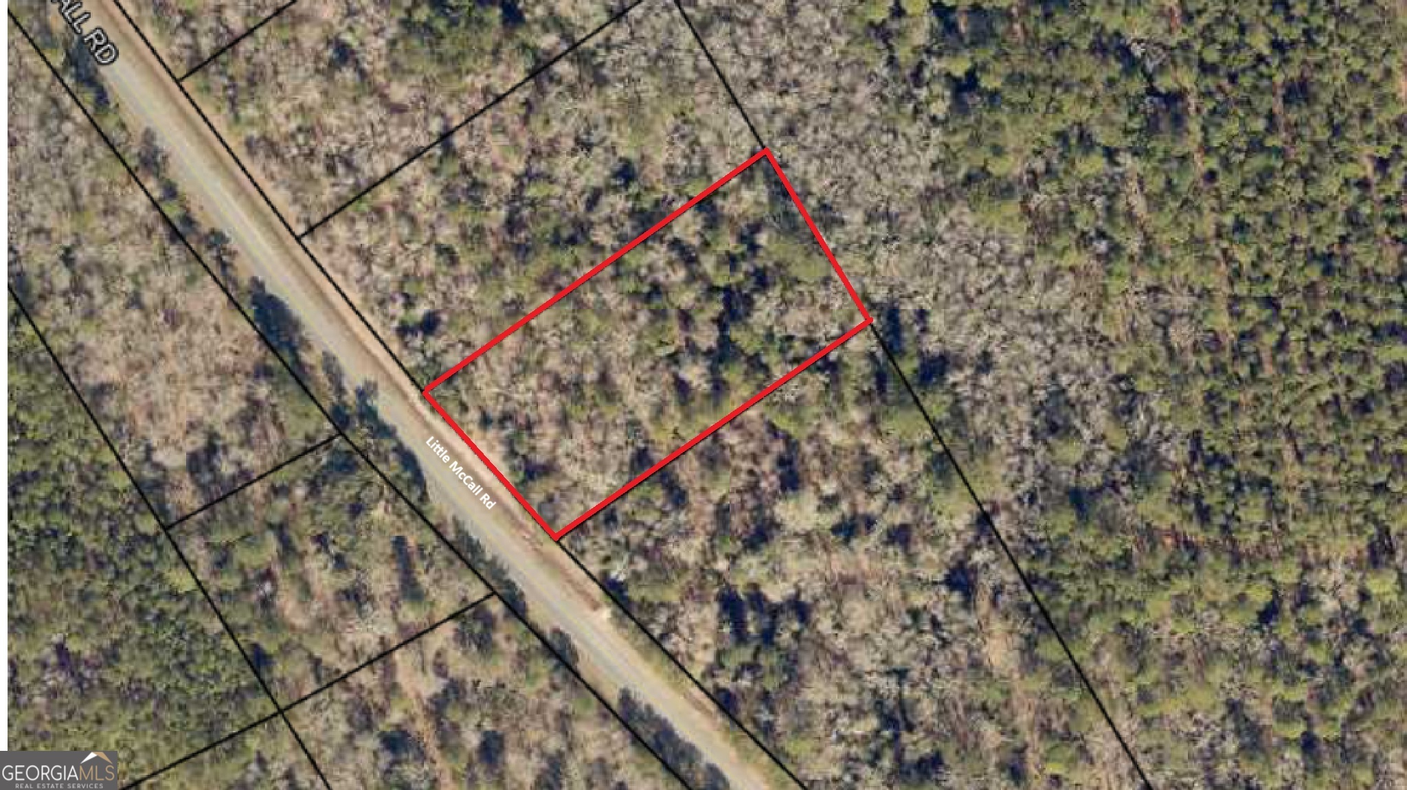 0 Little Mccall Road Property Photo 12