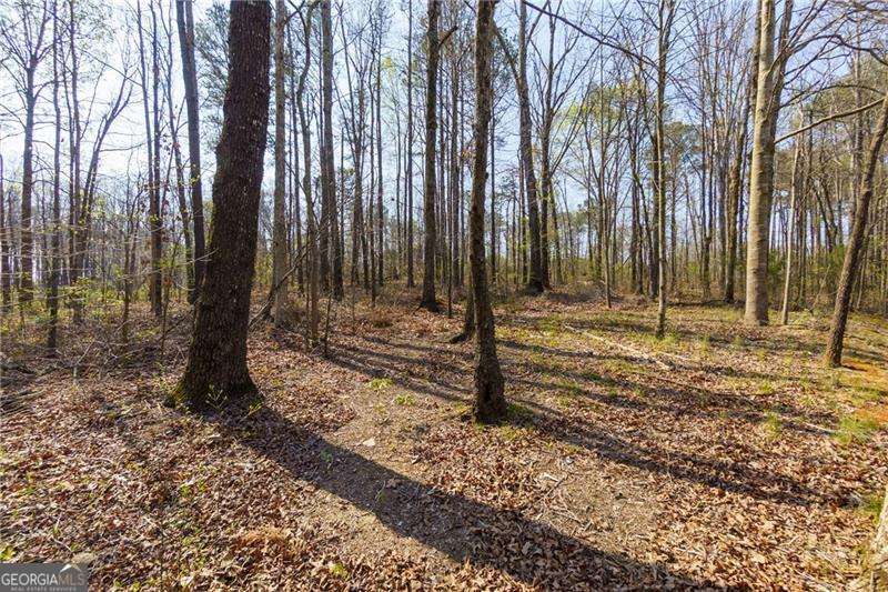 1392 Nunnally Trail Property Photo 21