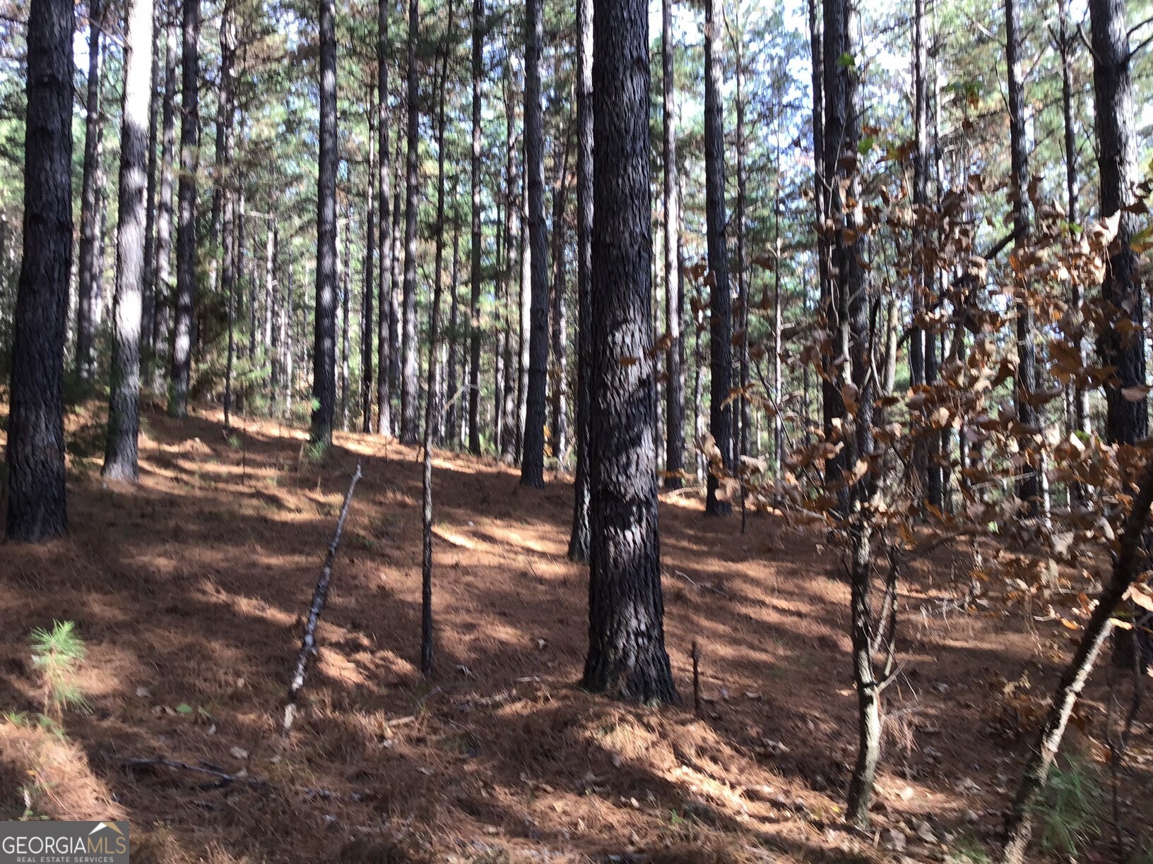 0 Lake Margarete Road # 6017 Property Photo 15