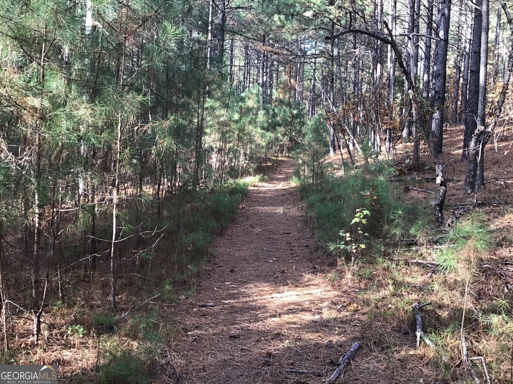 0 Lake Margarete Road # 6017 Property Photo 17