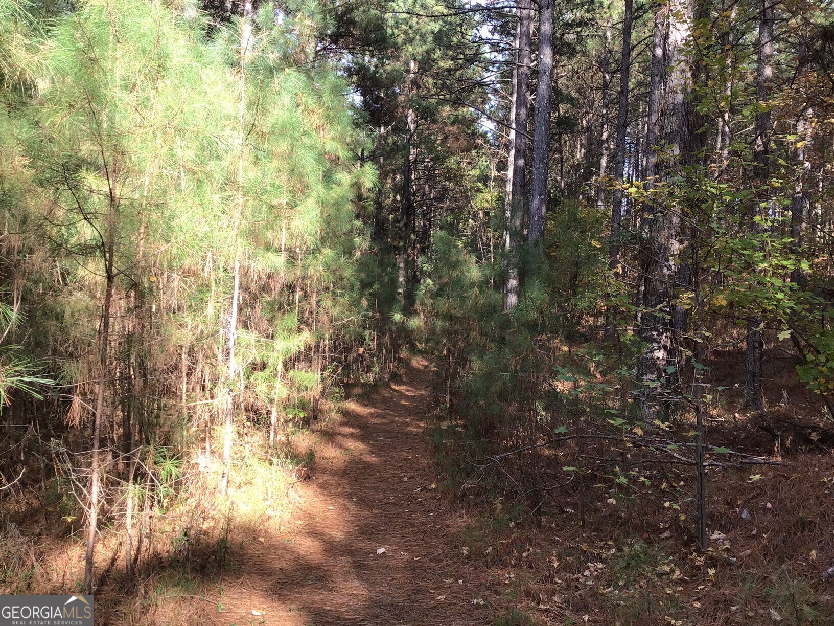 0 Lake Margarete Road # 6017 Property Photo 18
