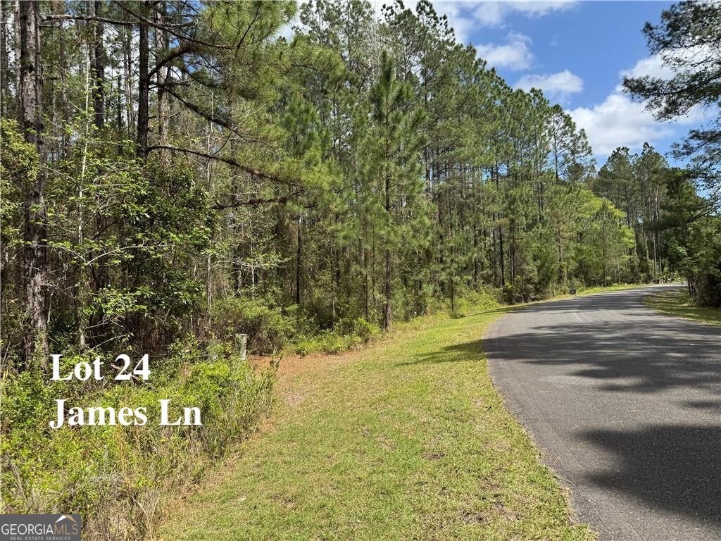Lot 24 James Lane Property Photo 5